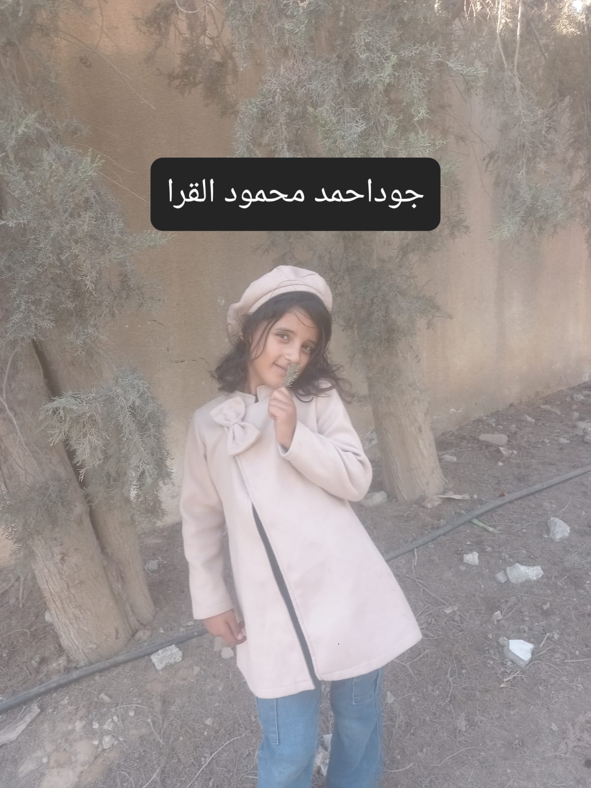 جود's Photo