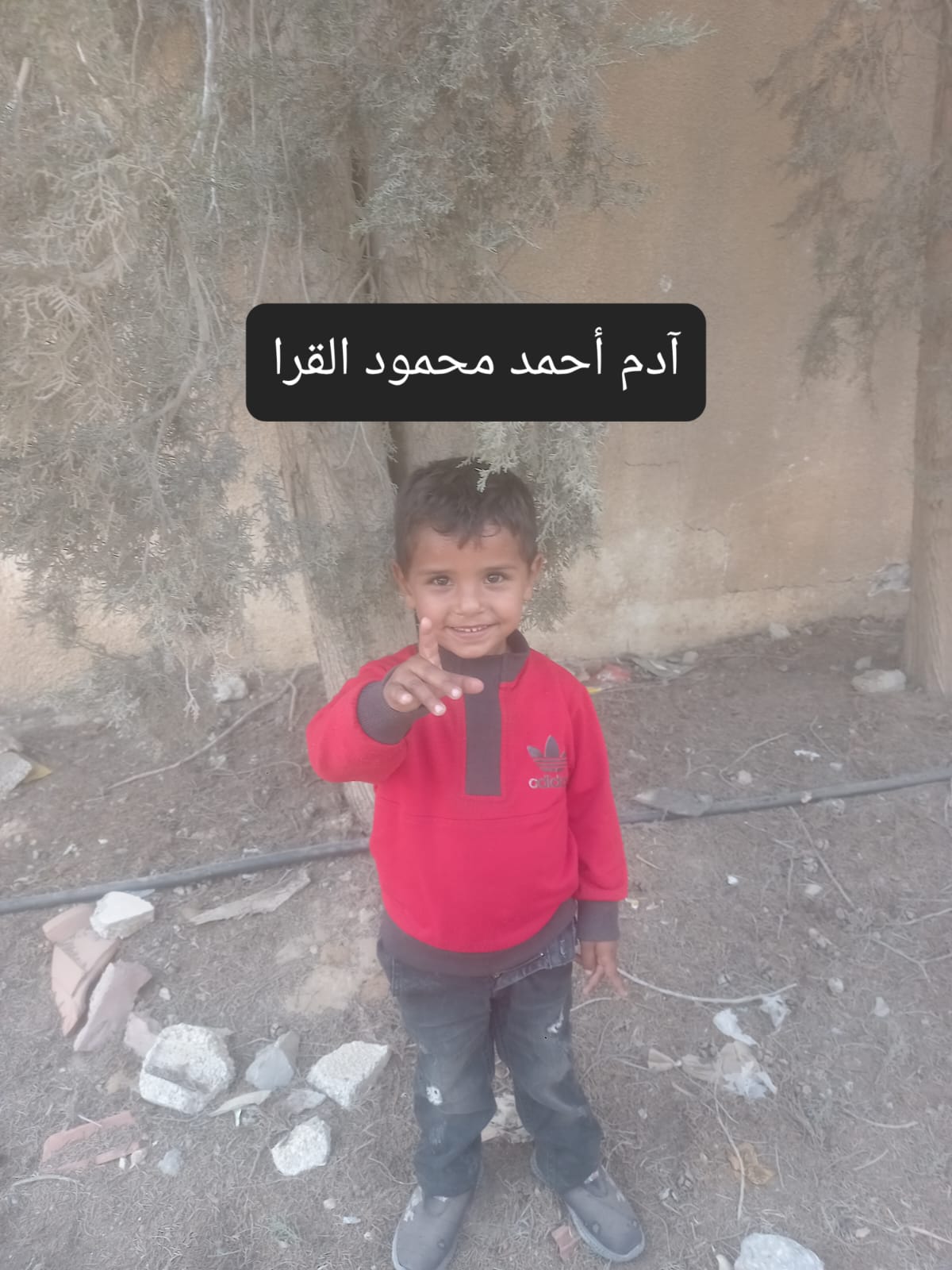 ادم 