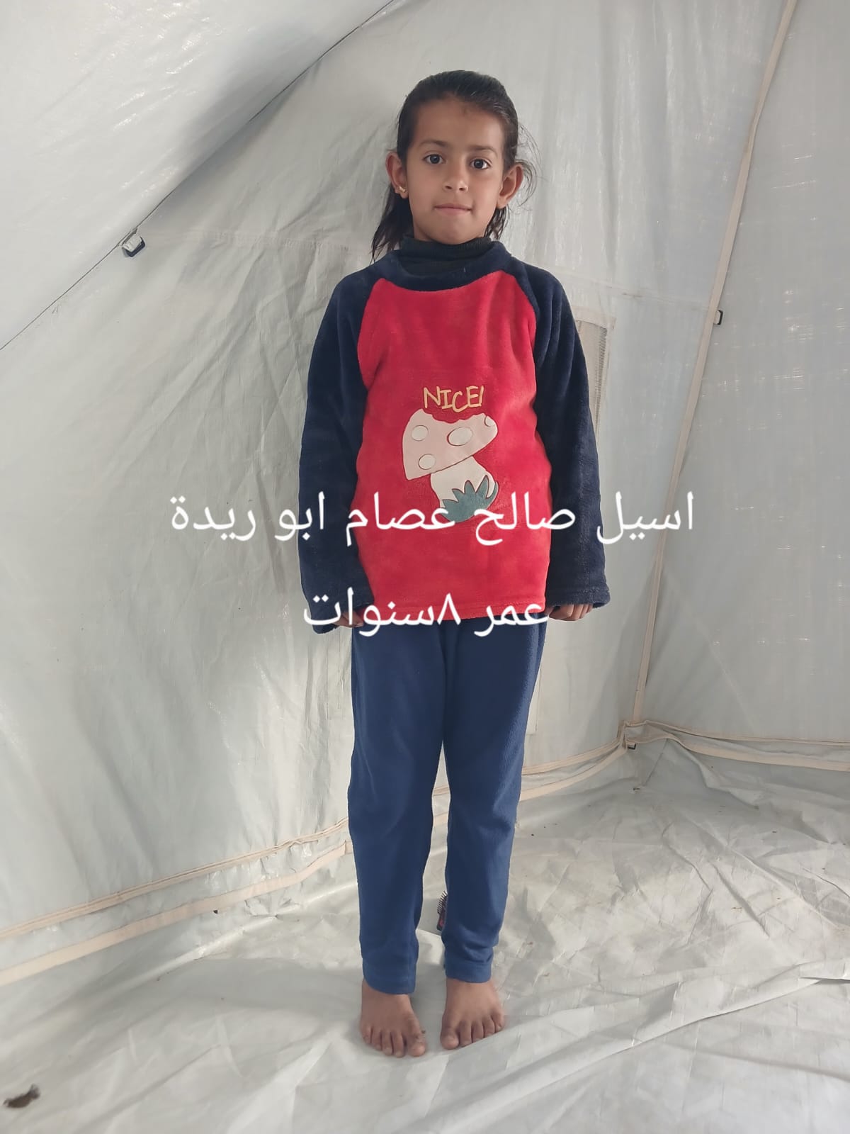 اسيل