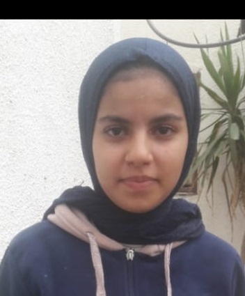 ميس