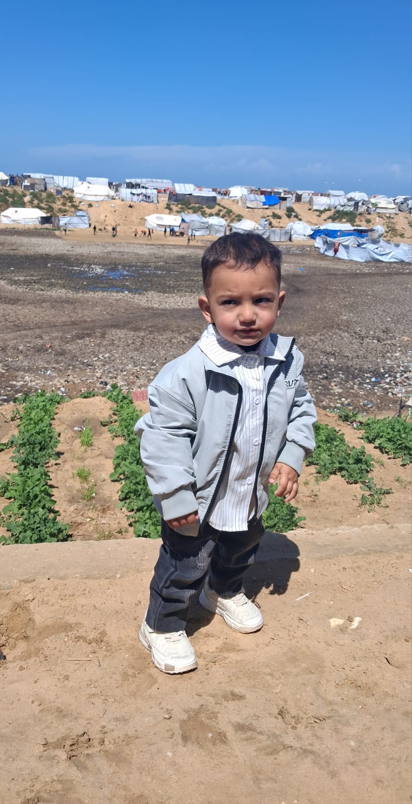 معتصم