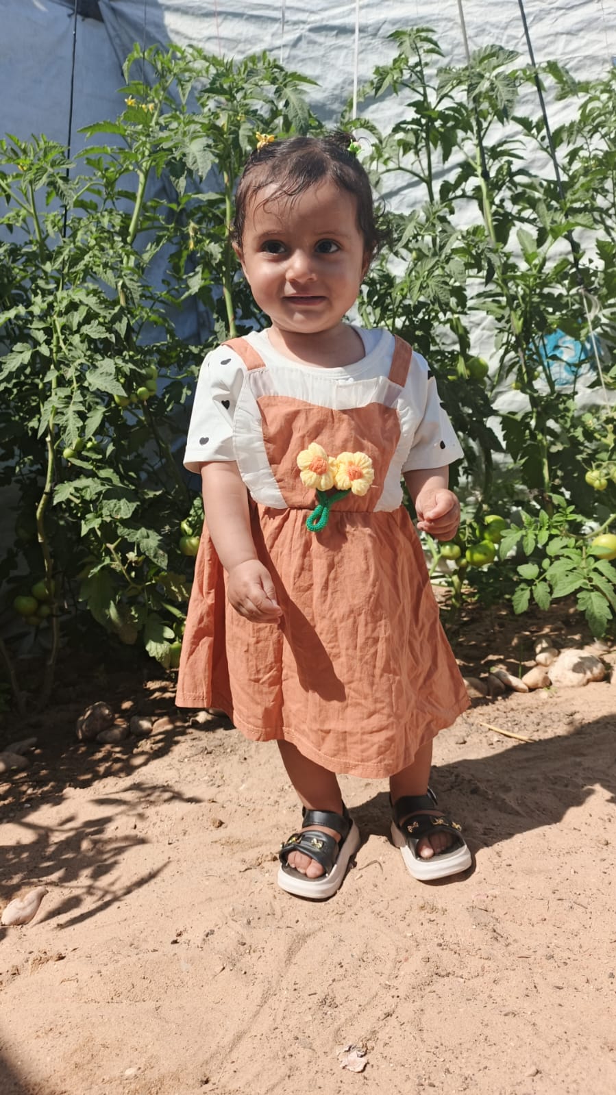 فاطمة 