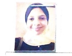 حلا