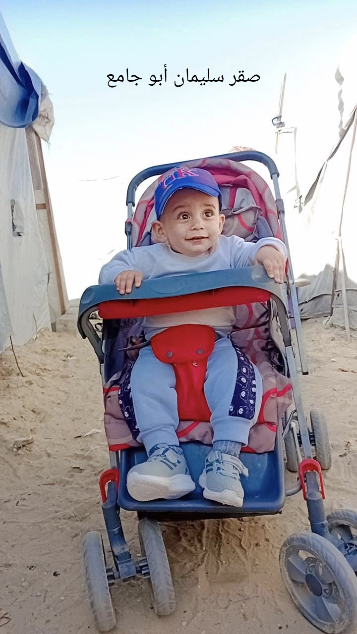 صقر
