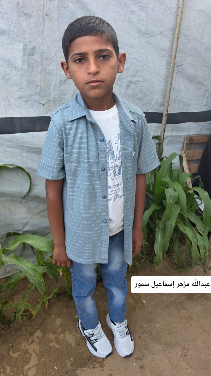 عبدالله 's Photo