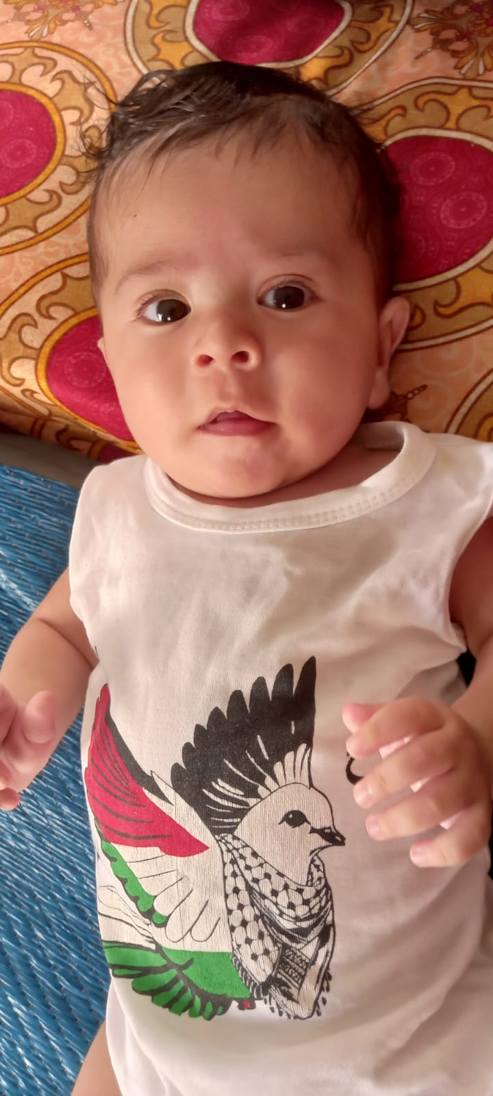 عمار